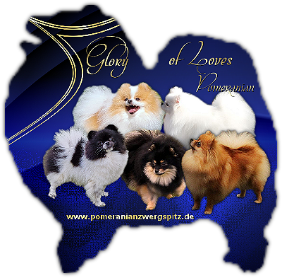 Glory of Loves Pomeranian